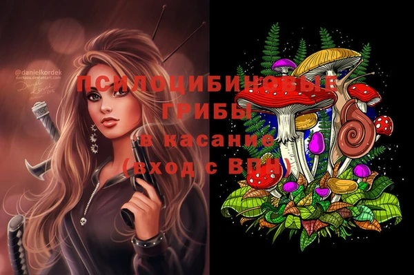 apvp Михайловка