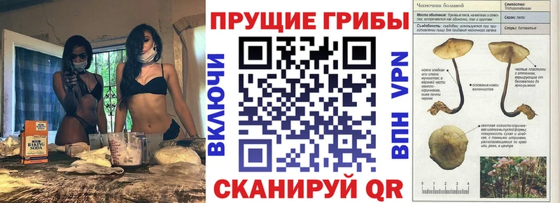 Псилоцибиновые грибы мухоморы  Подольск 