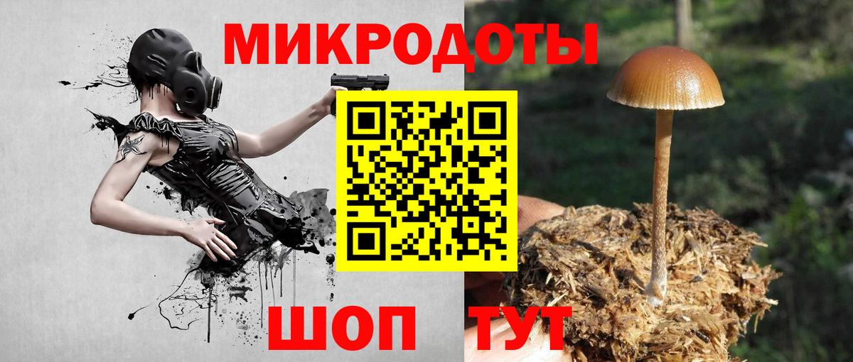 Псилоцибиновые грибы мухоморы  Вход с VPN  Подольск  Псилоцибиновые грибы мицелий 